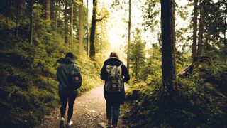 Permits Required for Popular Oregon Cascade Hikes Starting June 15 (Live in Oregon )