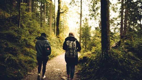 Permits Required for Popular Oregon Cascade Hikes Starting June 15 (Live in Oregon )